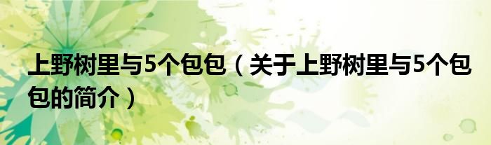 上野树里与5个包包（关于上野树里与5个包包的简介）