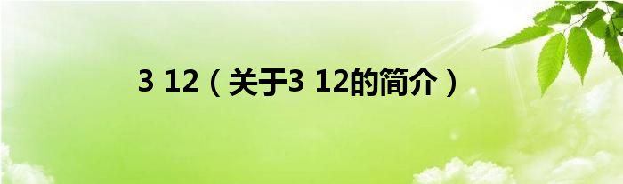 3 12（关于3 12的简介）