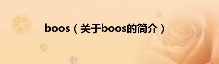 boos（关于boos的简介）