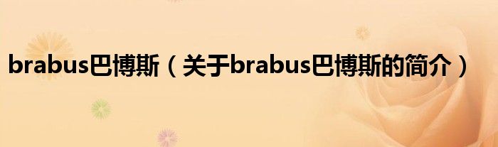 brabus巴博斯（关于brabus巴博斯的简介）