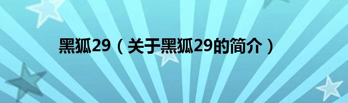 黑狐29（关于黑狐29的简介）