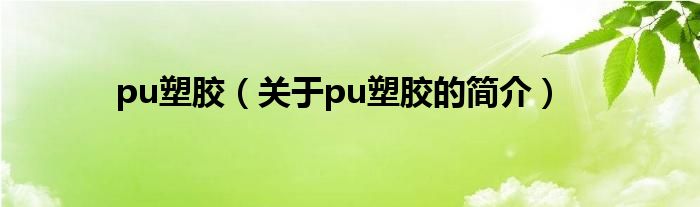 pu塑胶（关于pu塑胶的简介）