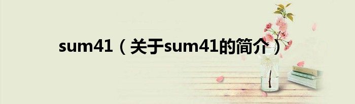 sum41（关于sum41的简介）