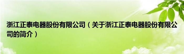 浙江正泰电器股份有限公司（关于浙江正泰电器股份有限公司的简介）