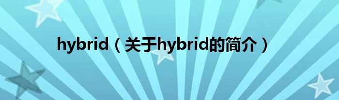 hybrid（关于hybrid的简介）