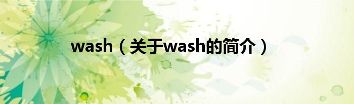 wash（关于wash的简介）