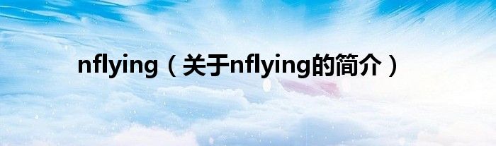 nflying（关于nflying的简介）