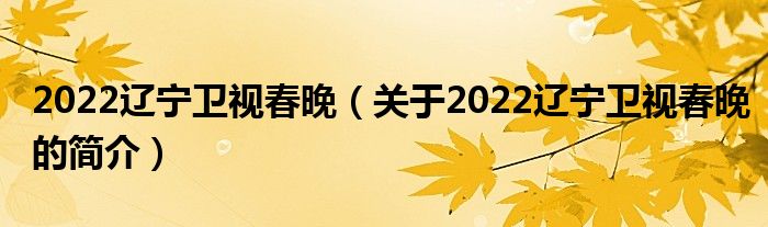 2022辽宁卫视春晚（关于2022辽宁卫视春晚的简介）