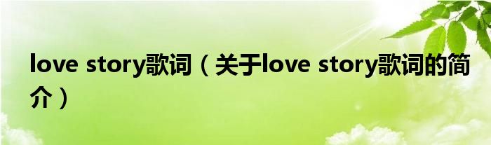 love story歌词（关于love story歌词的简介）