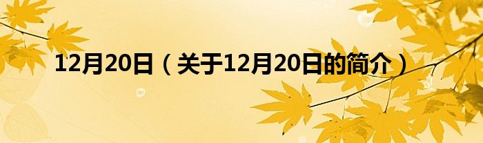 12月20日（关于12月20日的简介）