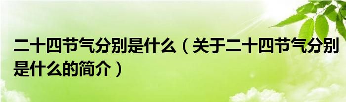 二十四节气分别是什么（关于二十四节气分别是什么的简介）