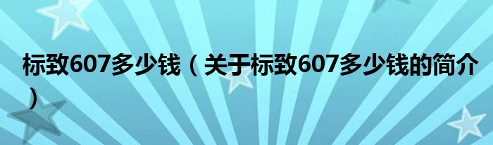 标致607多少钱（关于标致607多少钱的简介）