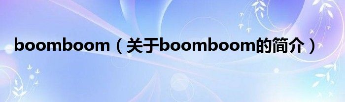 boomboom（关于boomboom的简介）