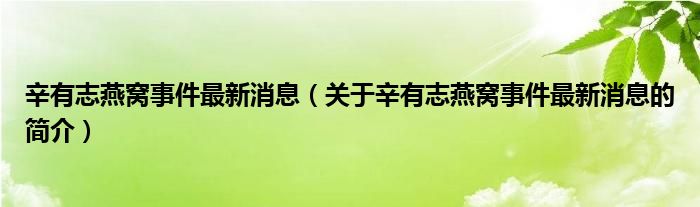 辛有志燕窝事件最新消息（关于辛有志燕窝事件最新消息的简介）