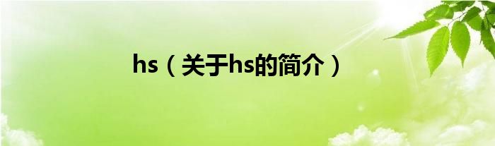 hs（关于hs的简介）