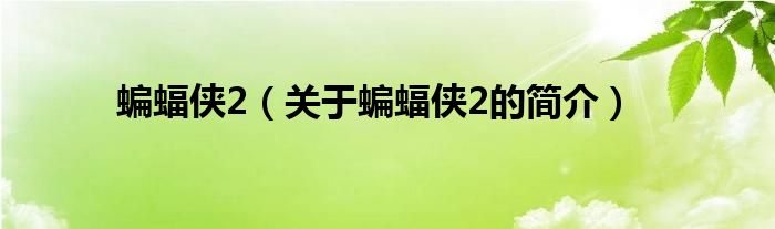 蝙蝠侠2（关于蝙蝠侠2的简介）