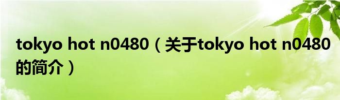 tokyo hot n0480（关于tokyo hot n0480的简介）