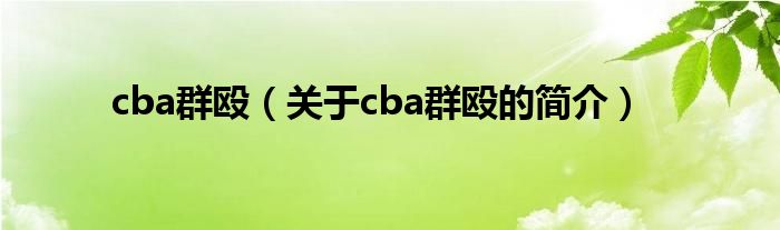 cba群殴（关于cba群殴的简介）