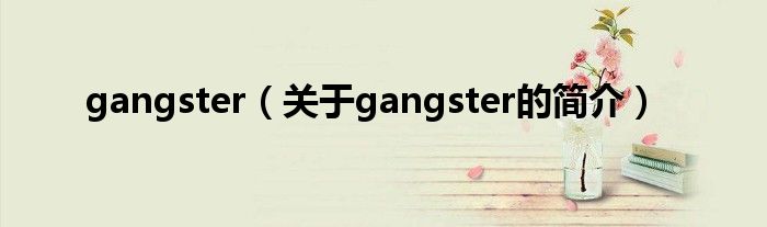 gangster（关于gangster的简介）