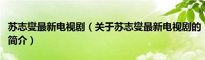 苏志燮最新电视剧（关于苏志燮最新电视剧的简介）