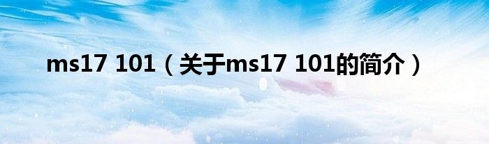 ms17 101（关于ms17 101的简介）