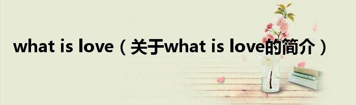 what is love（关于what is love的简介）