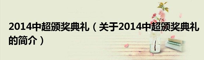 2014中超颁奖典礼（关于2014中超颁奖典礼的简介）