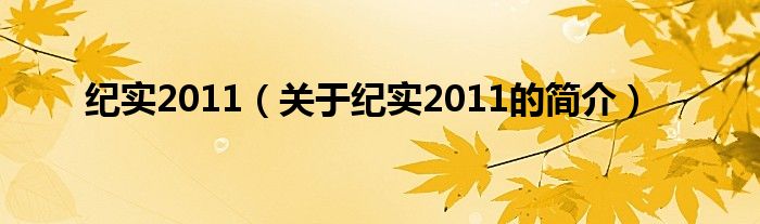 纪实2011（关于纪实2011的简介）