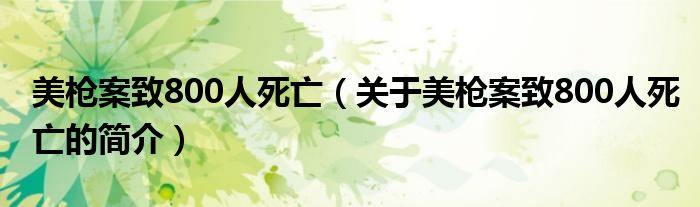 美枪案致800人死亡（关于美枪案致800人死亡的简介）