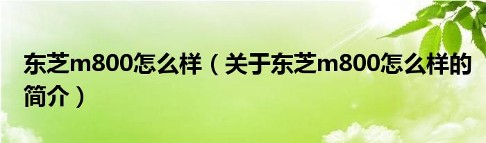 东芝m800怎么样（关于东芝m800怎么样的简介）