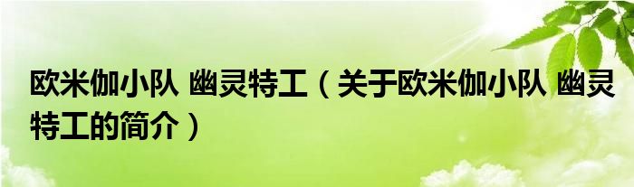 欧米伽小队 幽灵特工（关于欧米伽小队 幽灵特工的简介）