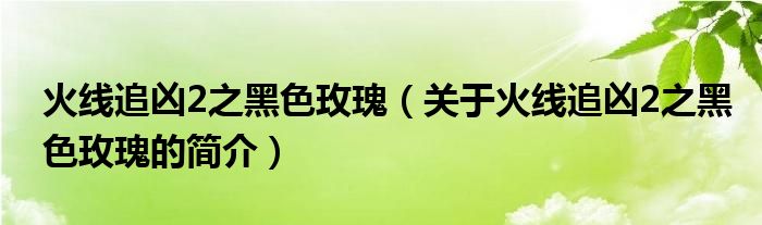 火线追凶2之黑色玫瑰（关于火线追凶2之黑色玫瑰的简介）