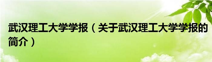 武汉理工大学学报（关于武汉理工大学学报的简介）