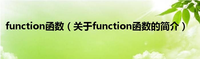 function函数（关于function函数的简介）