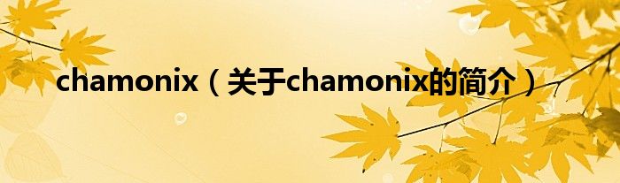 chamonix（关于chamonix的简介）