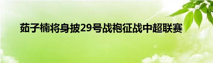 茹子楠将身披29号战袍征战中超联赛