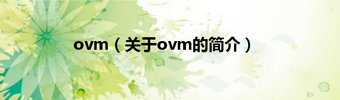 ovm（关于ovm的简介）