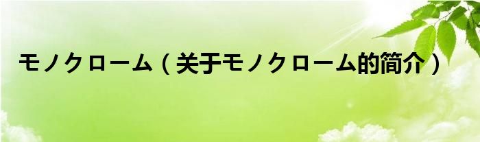 モノクローム（关于モノクローム的简介）