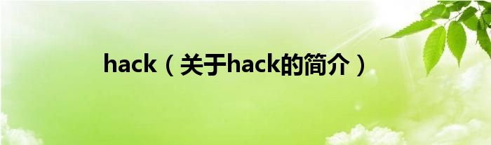 hack（关于hack的简介）