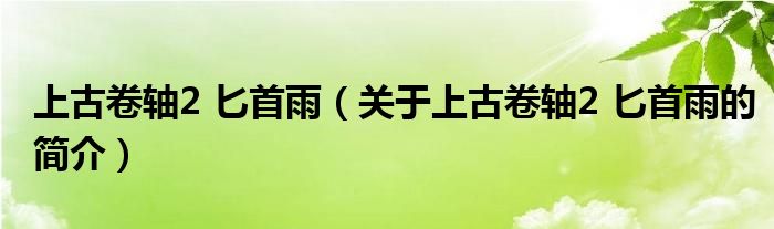 上古卷轴2 匕首雨（关于上古卷轴2 匕首雨的简介）