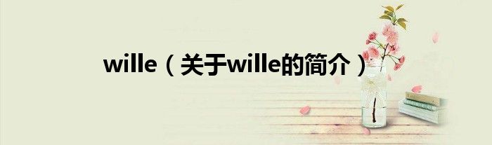 wille（关于wille的简介）