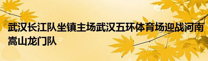 武汉长江队坐镇主场武汉五环体育场迎战河南嵩山龙门队