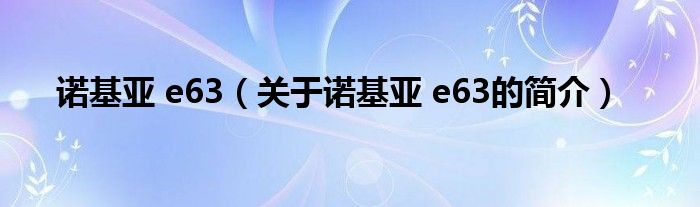 诺基亚 e63（关于诺基亚 e63的简介）