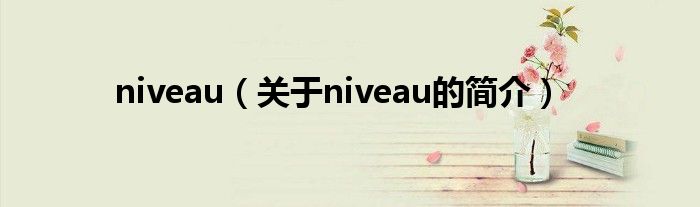 niveau（关于niveau的简介）