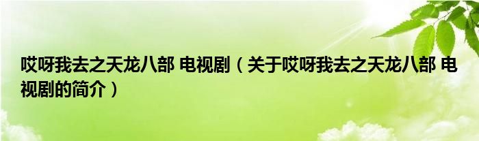 哎呀我去之天龙八部 电视剧（关于哎呀我去之天龙八部 电视剧的简介）