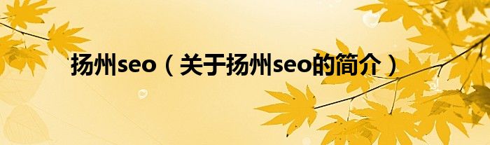 扬州seo（关于扬州seo的简介）