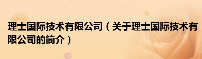 理士国际技术有限公司（关于理士国际技术有限公司的简介）