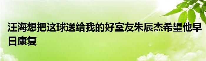 汪海想把这球送给我的好室友朱辰杰希望他早日康复