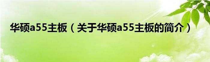 华硕a55主板（关于华硕a55主板的简介）