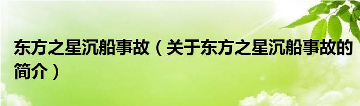 东方之星沉船事故（关于东方之星沉船事故的简介）